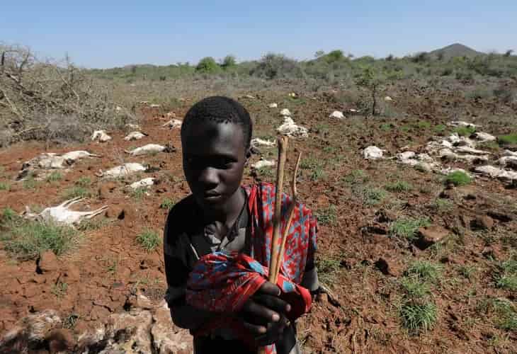 La intensa sequía golpea a unos 3,5 millones de personas en Kenia