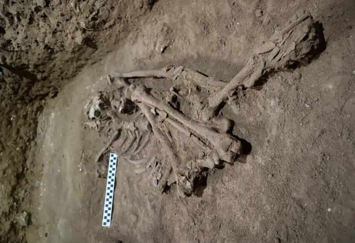 La primera amputación quirúrgica se habría realizado hace 31.000 años