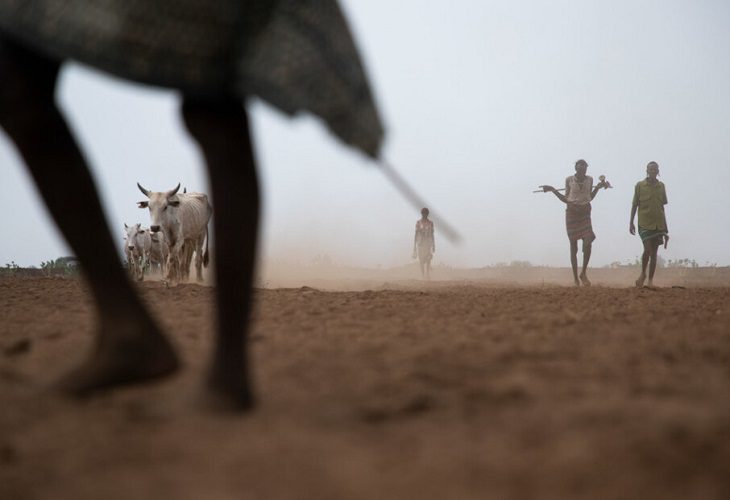 “Lo que era una ola de hambre es ahora un tsunami”, advierte la ONU