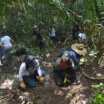 Más de 5.000 restos humanos encontrados en fosas de Veracruz en dos años