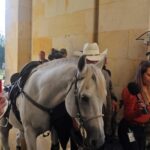 El senador Alirio Barrera entra al Congreso a caballo alegando que es su mascota