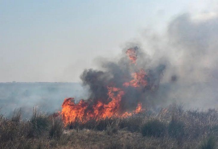 Una ola de incendios sacude ocho provincias de la mitad norte de Argentina