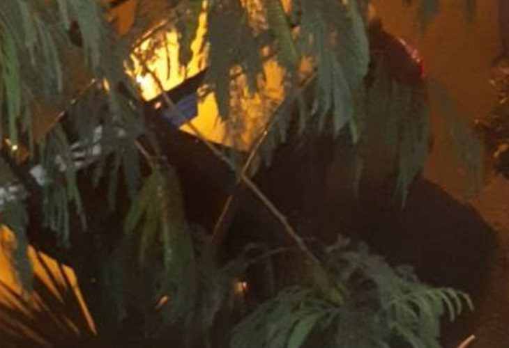 Como Jaider Alexander Nieto ha sido identificado el hombre al que mataron en su propio carro, durante la noche del lunes en centro de Medellín.