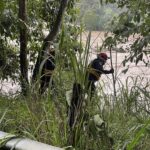 Sin rastro de Carolina Gómez, estudiante que desapareció en una quebrada de Barbosa, Antioquia