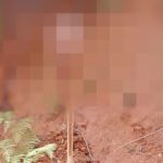 Aparece un hombre decapitado al pie de una carretera en El Bagre