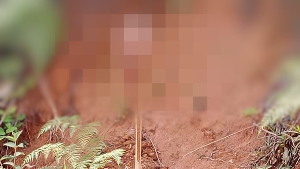 Aparece un hombre decapitado al pie de una carretera en El Bagre