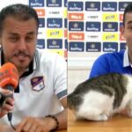 Gato se cuela en rueda de prensa del Orsomarso y hace olvidar la derrota
