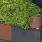 Hombre aparece muerto en una acera del barrio Laureles, en Medellín
