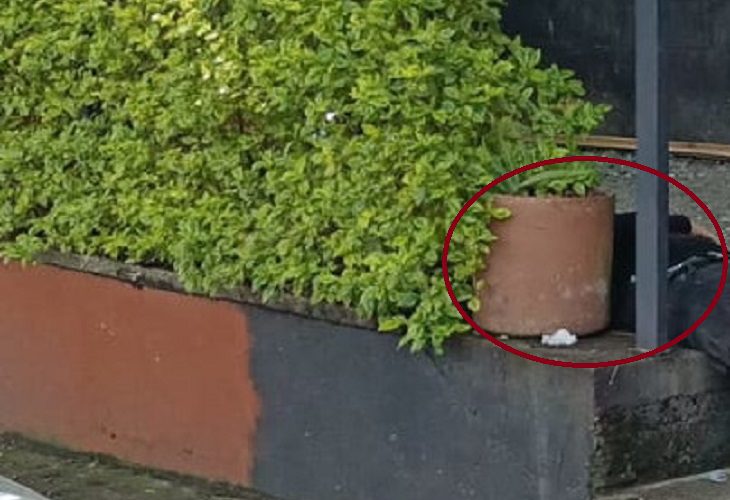 Hombre aparece muerto en una acera del barrio Laureles, en Medellín