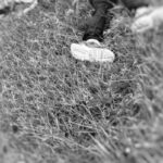 Encuentran cadáveres de dos hombres en un potrero de Itagüí El Rosario