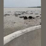Se retira el mar en Tampa debido al inminente arribo del Huracán Ian