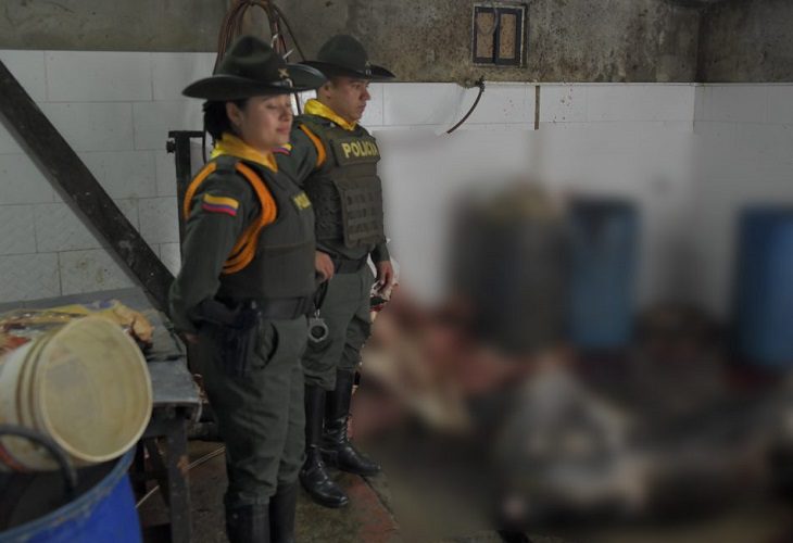 Un matadero de caballos fue descubierto en Copacabana