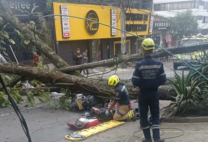 MEDELLÍN: Sobrevive motociclista al que le cayó un árbol en la avenida El Poblado