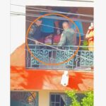 Muere Odilia Hinestroza, mujer atacada por sus propios hijos en Tuluá