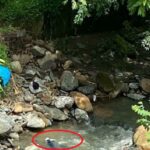 Encuentran un hombre sin vida en una quebrada del barrio Niquía