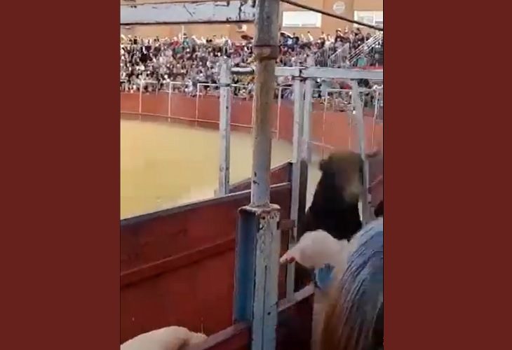 En Fuenlabrada murió corneado un operario de la plaza de toros