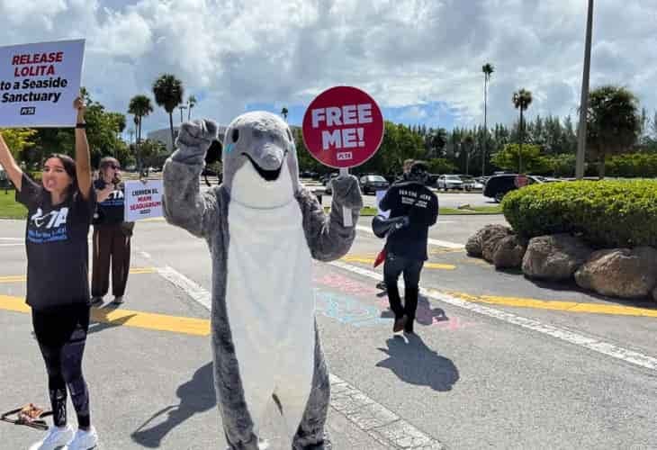 Activistas por el cuidado de los animales piden el cierre del Miami Seaquarium