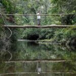 Al Bosque Atlántico brasileño le queda menos del 25 % de su vegetación nativa
