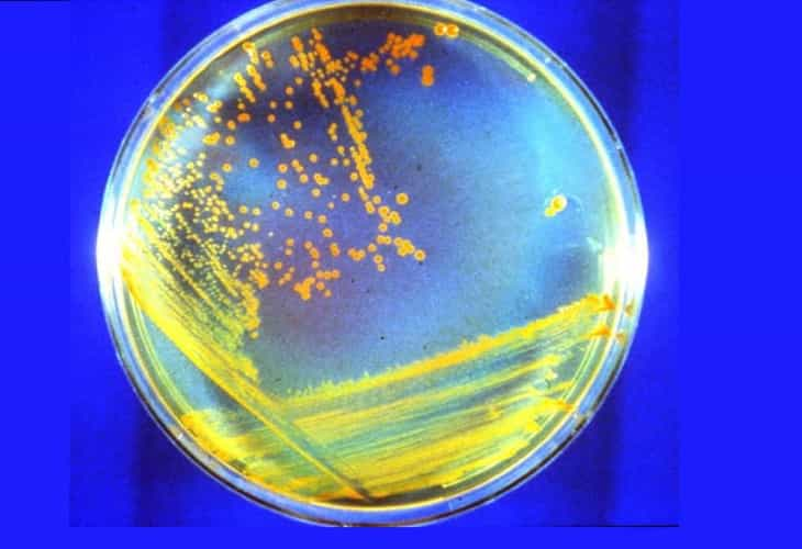 Antiguas bacterias de Marte podrían estar latentes en las capas profundas 2