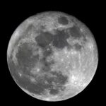 Científicos australianos buscan cultivar plantas en la Luna a partir de 2025