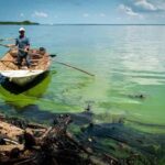 Derrames petroleros, una enfermedad crónica en aguas de Venezuela