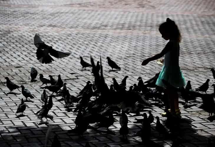 El 65 % de las adolescentes dominicanas ha sufrido violencia sexual