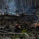 La deforestación en la Amazonía brasileña alcanza un nuevo récord en septiembre