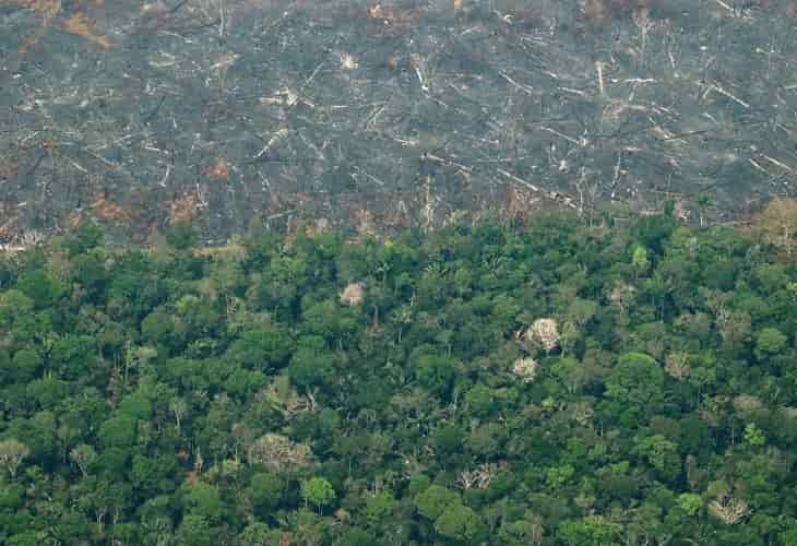 La deforestación en la Amazonía brasileña bate un nuevo récord con Bolsonaro