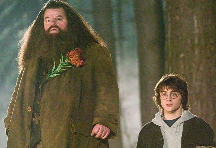 Causa de muerte de actor: Múltiples enfermedades provocaron la muerte de Robbie Coltrane, Hagrid en Harry Potter