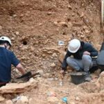 Un pesticida puede amenazar los restos arqueológicos aún enterrados