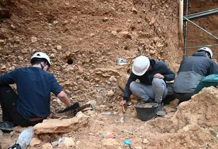 Un pesticida puede amenazar los restos arqueológicos aún enterrados