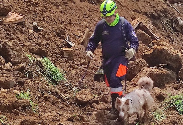 Desaparece una persona en deslizamiento que sepultó una casa, en Bello El Pinar
