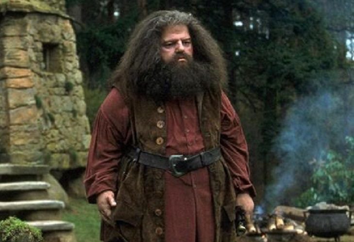 Estrellas de 'Harry Potter' rinden tributo al actor que hizo a Hagrid, Robbie Coltrane
