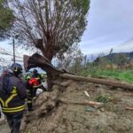 Aumentan a tres los muertos confirmados en el corrimiento de Ischia