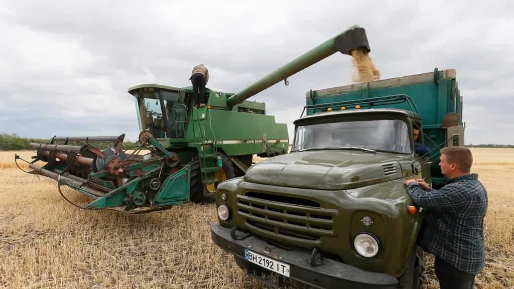 El 25 % de los agricultores ucranianos han reducido o detenido su actividad