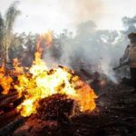 Incendios en la Amazonía brasileña aumentan un 20,4 % en octubre - incendios