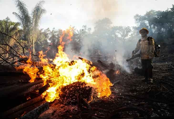 Incendios en la Amazonía brasileña aumentan un 20,4 % en octubre - incendios