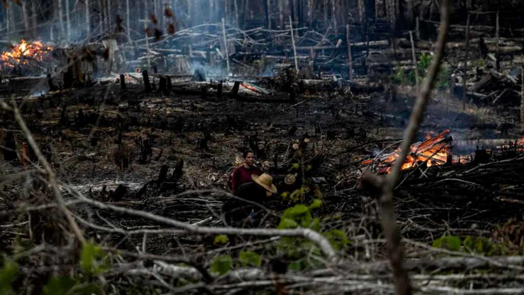 La deforestación de la Amazonía baja por primera vez en el Gobierno Bolsonaro