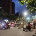 Un enorme árbol cayó en la mitad de la Avenida Colombia, en Medellín