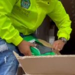 Buenaventura: carga de cocaína en paquetes de café