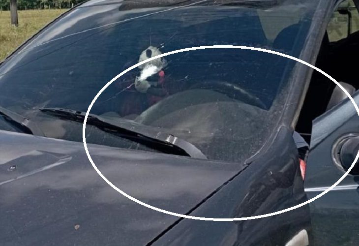 Una pareja que iba en un Sandero por Chigorodó fue asesinada a tiros