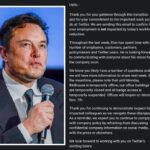 ELON MUSK: 3,700 empleados de Twitter fueron despedidos vía correo electrónico