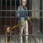 Fernando Vallejo, mujer lo acusa de agredirla en Medellín