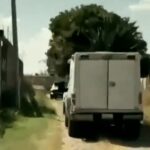 Perro que llevaba una pierna conduce a la policía a fosa clandestina en Guanajuato