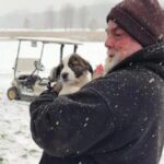 PERROS sobreviven accidente aéreo en Waukesha_ Wisconsin