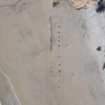 Arqueólogos estudian un misterioso objeto aparecido en una playa de Florida