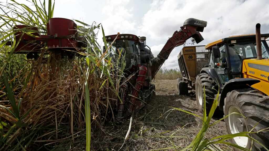 Brasil prevé un aumento del 4,4 % en su cosecha de caña de azúcar