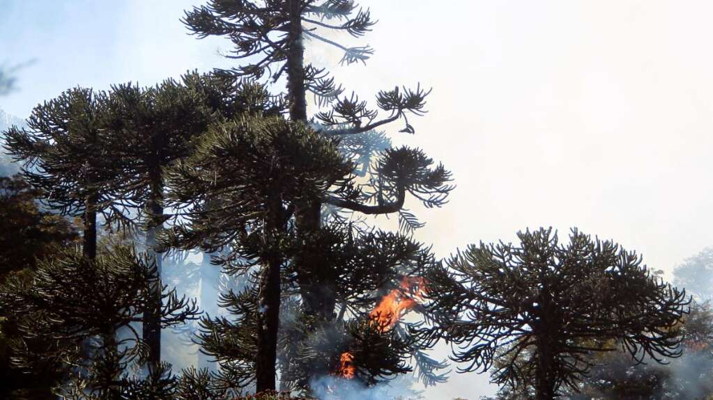 Chile mantiene la alerta roja por 8 incendios forestales en la zona central