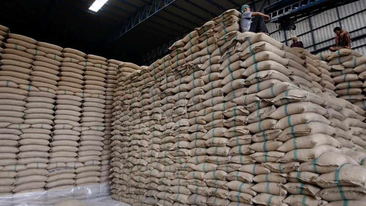 El arroz palay argentino ingresa al mercado mexicano