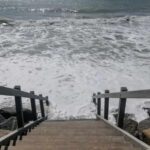 La biodiversidad, la asignatura pendiente de la «Constitución de los océanos»